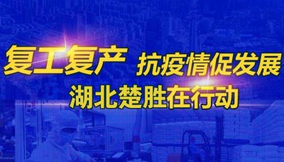 嚴(yán)防疫情、有序復(fù)工 湖北楚勝成為隨州首批復(fù)產(chǎn)企業(yè)之一